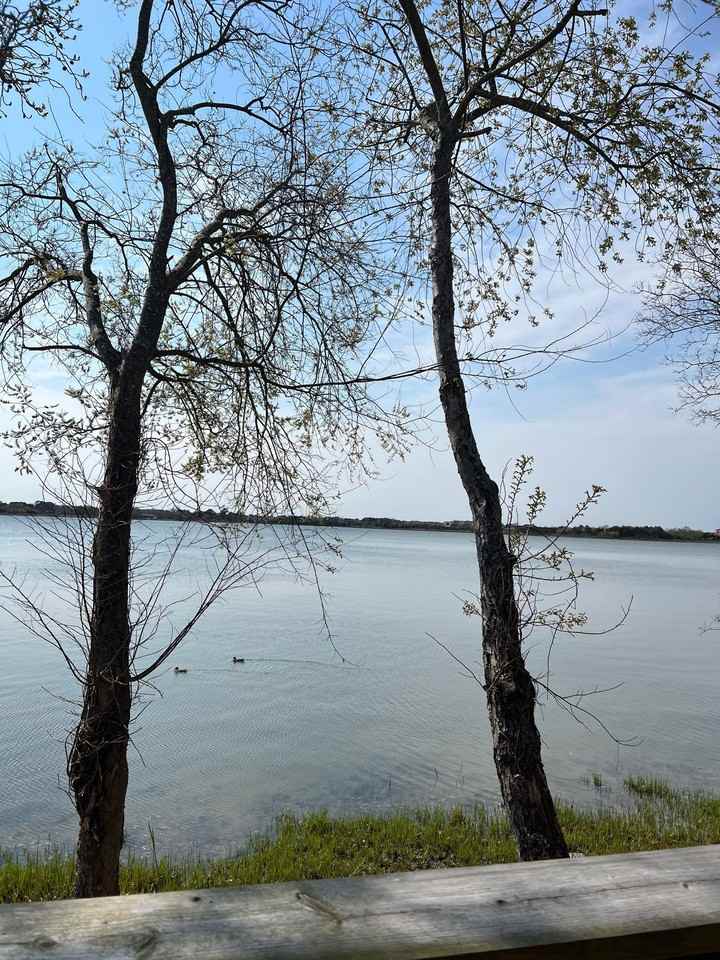 Langley Cove Apartments - Photo 5 of 32