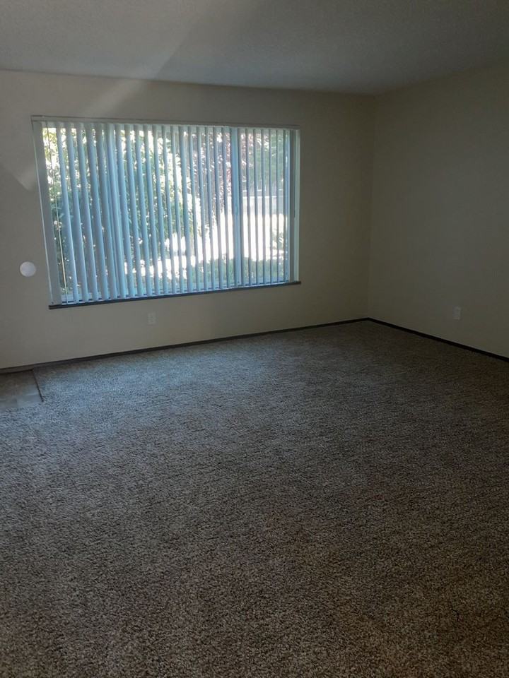 Little Madrid Apartments - Photo 2 of 11