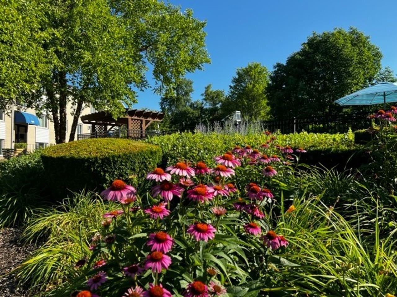 2355 White Birch Ln - Photo 5 of 10