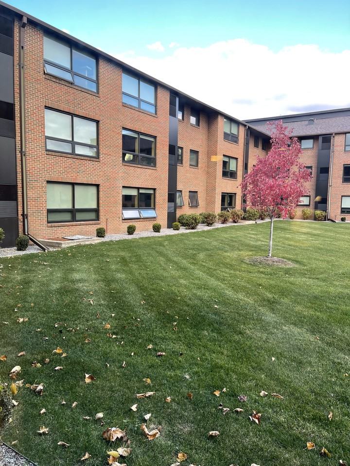 1, 2 & 3 Bedrooms Available, near U of M!  Beautiful remodeled Apartments! Lauderdale - Photo 2 of 50