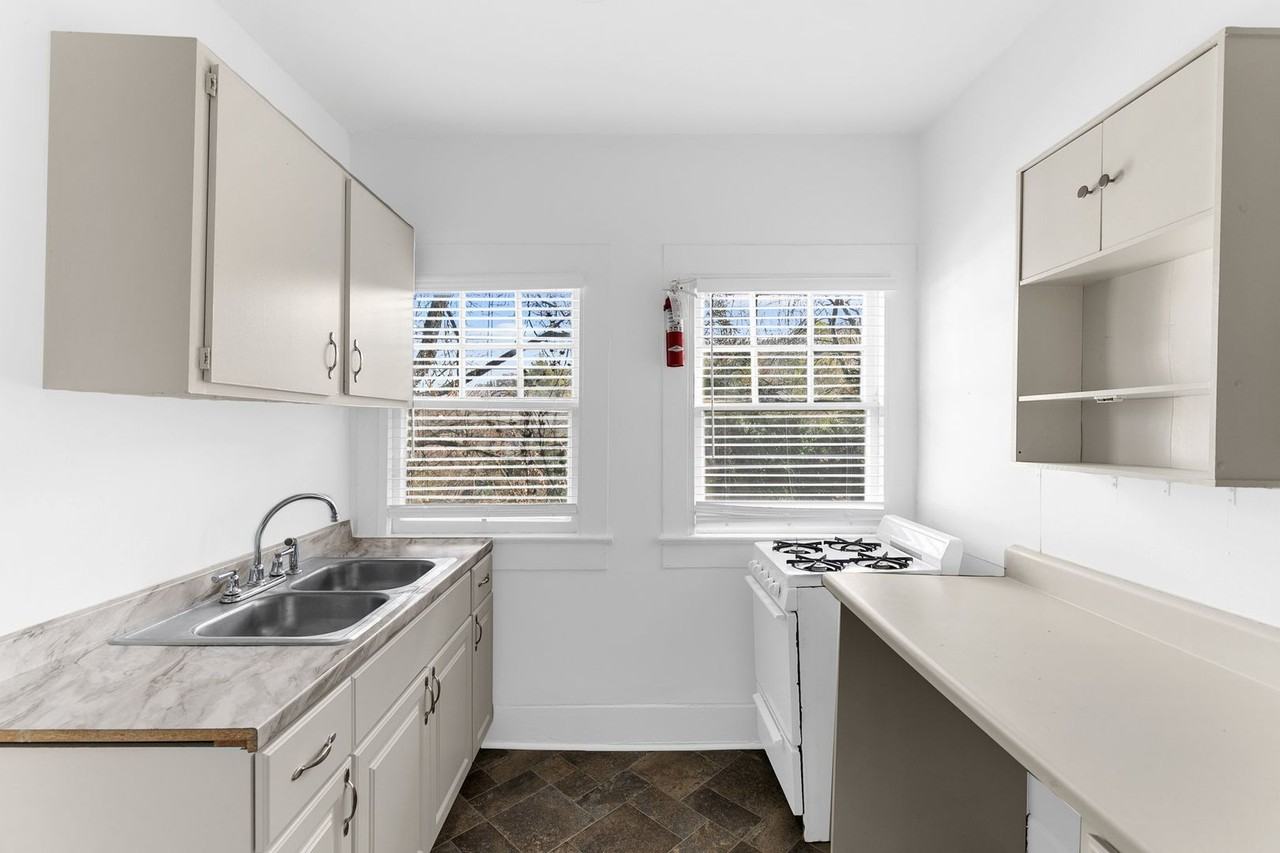 Wilbur - Photo 2 of 19