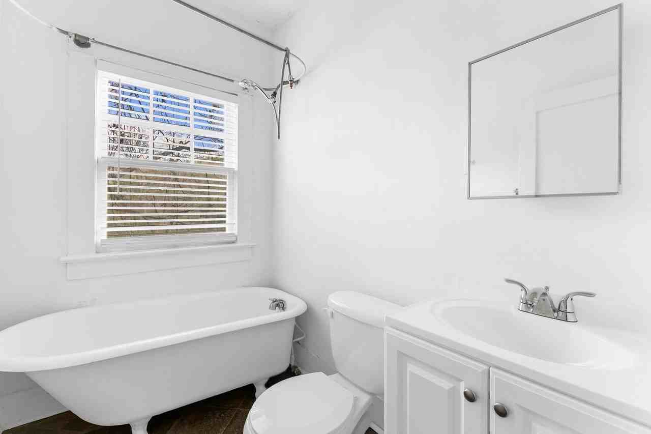 Wilbur - Photo 4 of 19