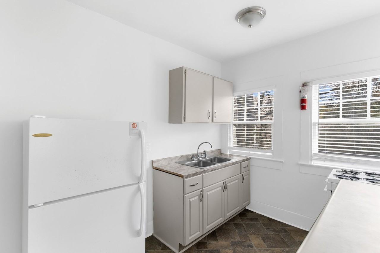 Wilbur - Photo 6 of 19