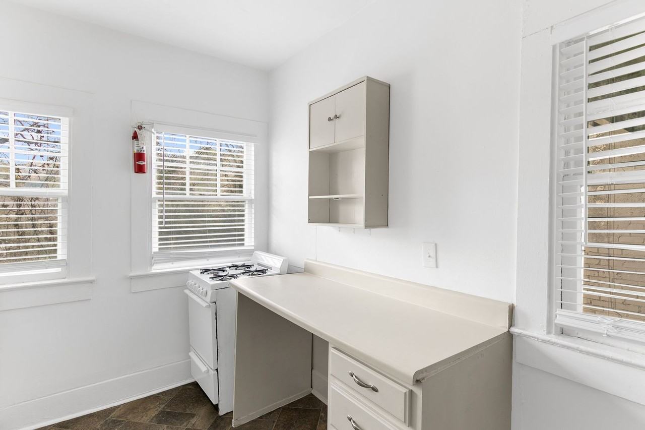 Wilbur - Photo 7 of 19