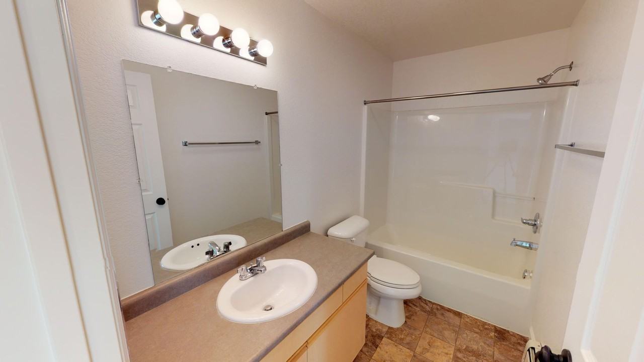 Studio, One Bedroom, Two Bedroom, Three Bedroom ANIMAL FRIENDLY Apartments, Apply Today! - Photo 6 of 50
