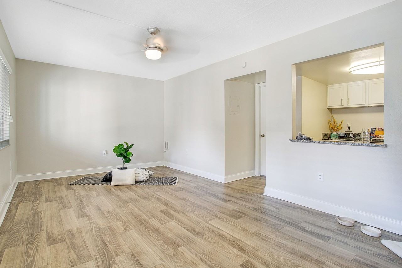 SoDo Flats | 1 Bedroom Apartments in Downtown Orlando - Photo 2 of 26