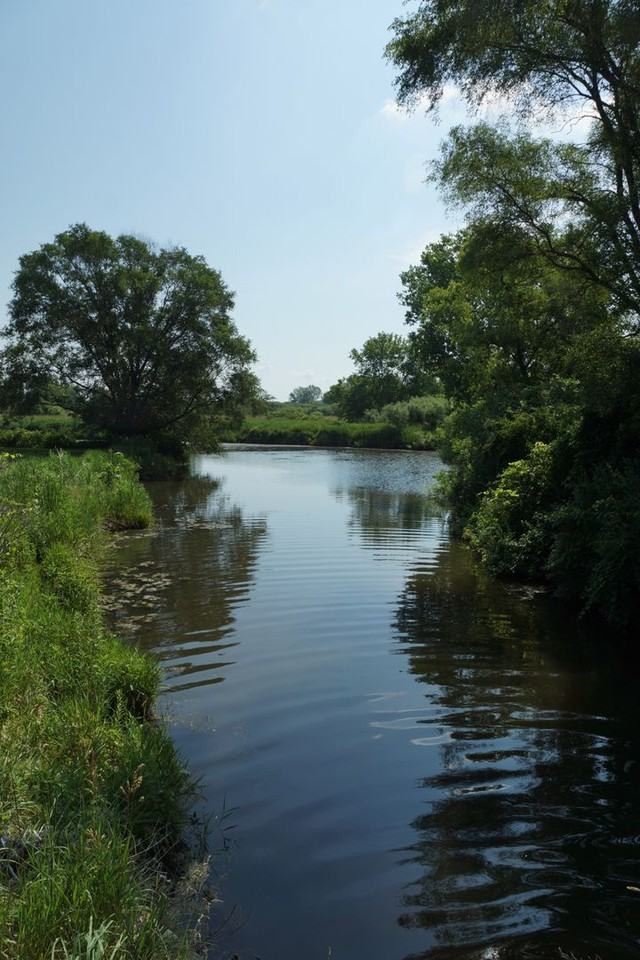 Windsor Pond Apartments - Photo 4 of 50