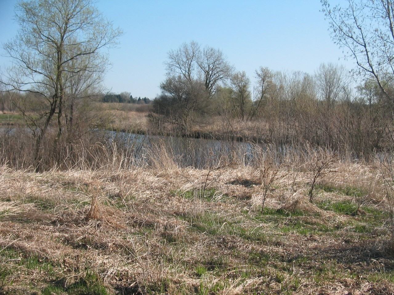 Windsor Pond Apartments - Photo 5 of 50