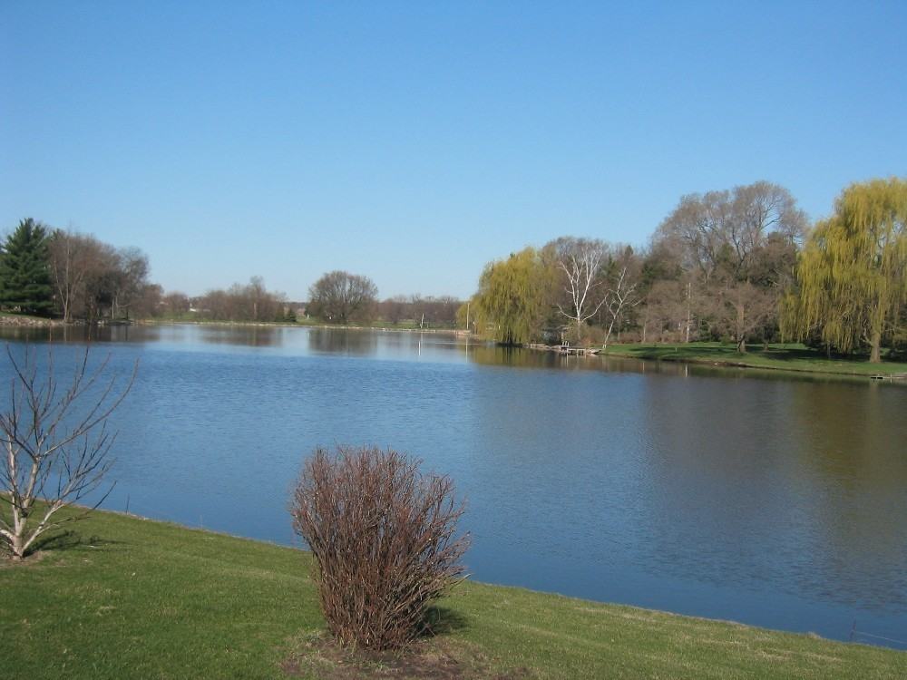 Windsor Pond Apartments - Photo 6 of 50