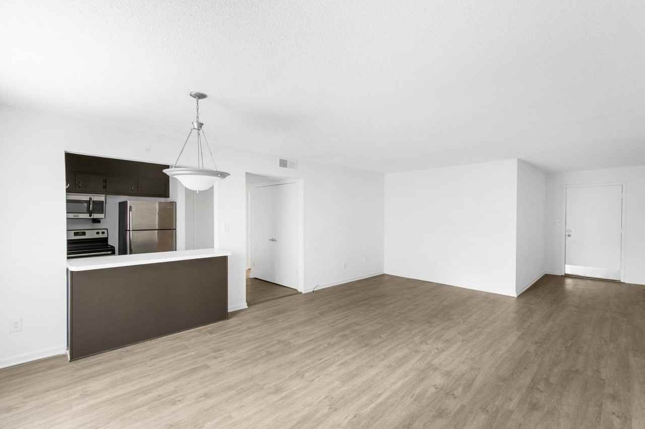 Merry Rowe - Photo 7 of 50