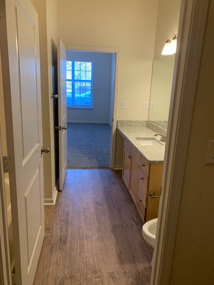 The Alexander at Ghent - Photo 6 of 28