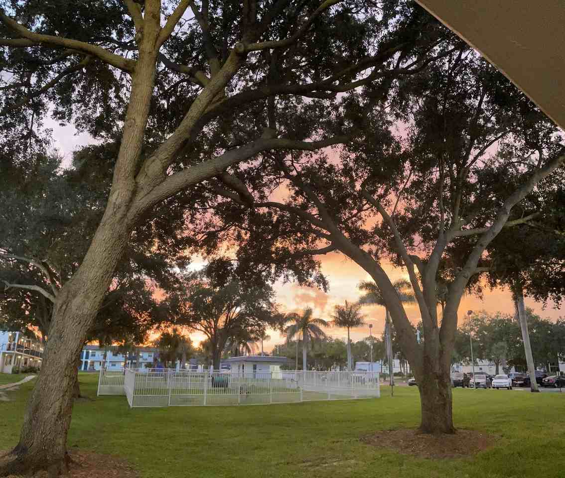 Park on Central | 1–2 Months Free on 1 Bedroom Apartments in Kissimmee - Photo 4 of 50