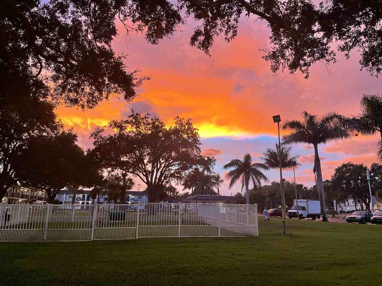 Park on Central | 1–2 Months Free on 1 Bedroom Apartments in Kissimmee - Photo 5 of 50