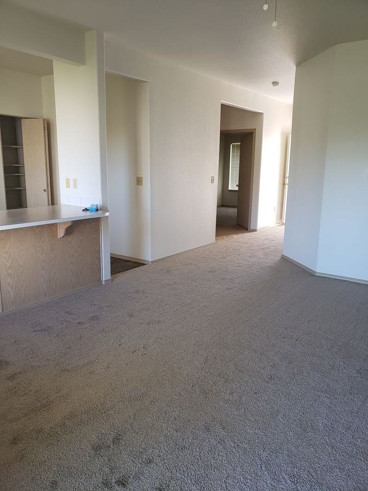 808 Pool Street - Photo 2 of 24