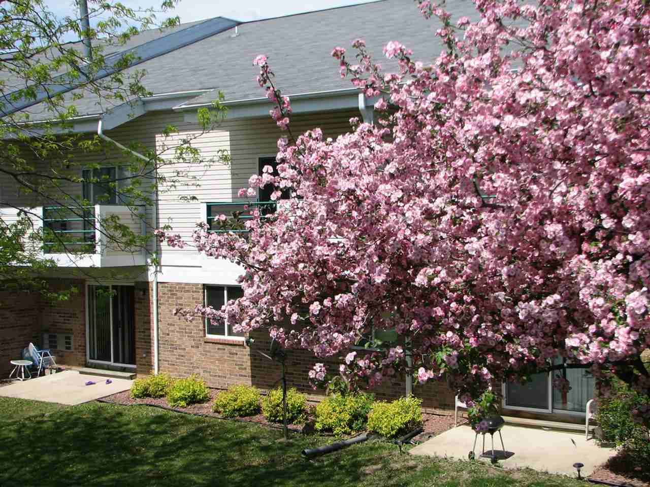 Stoughton Arms - Photo 7 of 50