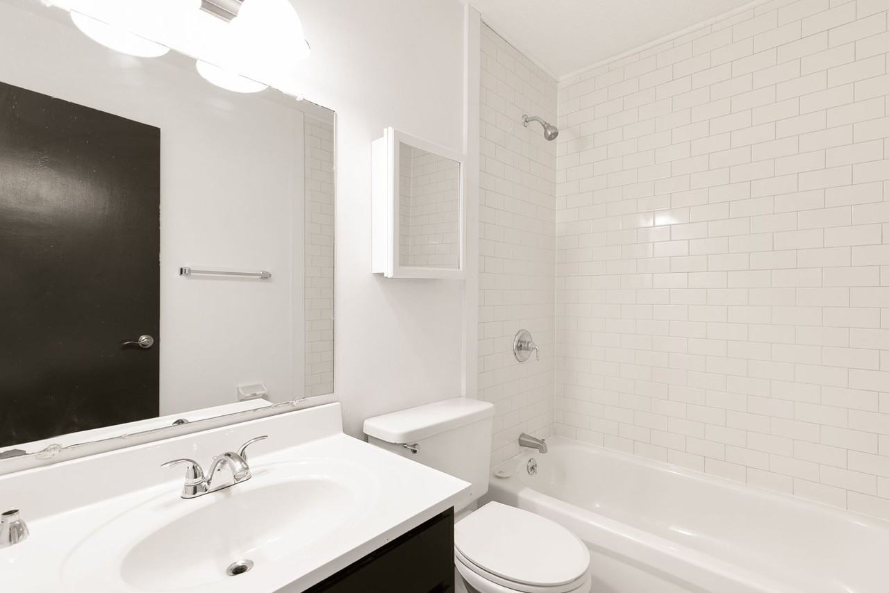 The Irish - Photo 2 of 50