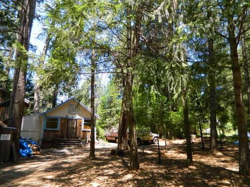 31145 Lincoln Rd - Photo 2 of 14