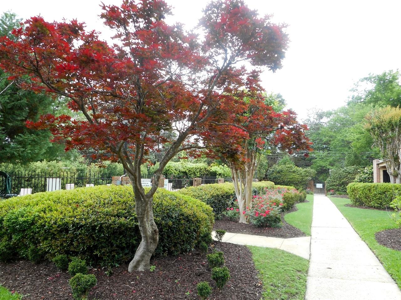 Peacock Woods - Photo 3 of 23