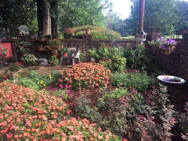 Peacock Woods - Photo 4 of 23