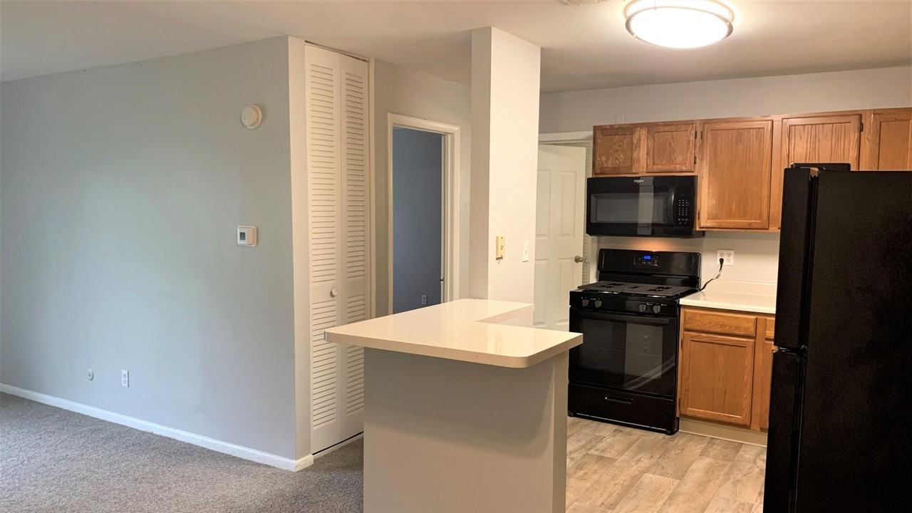 5005 Lily Lane - Photo 6 of 43