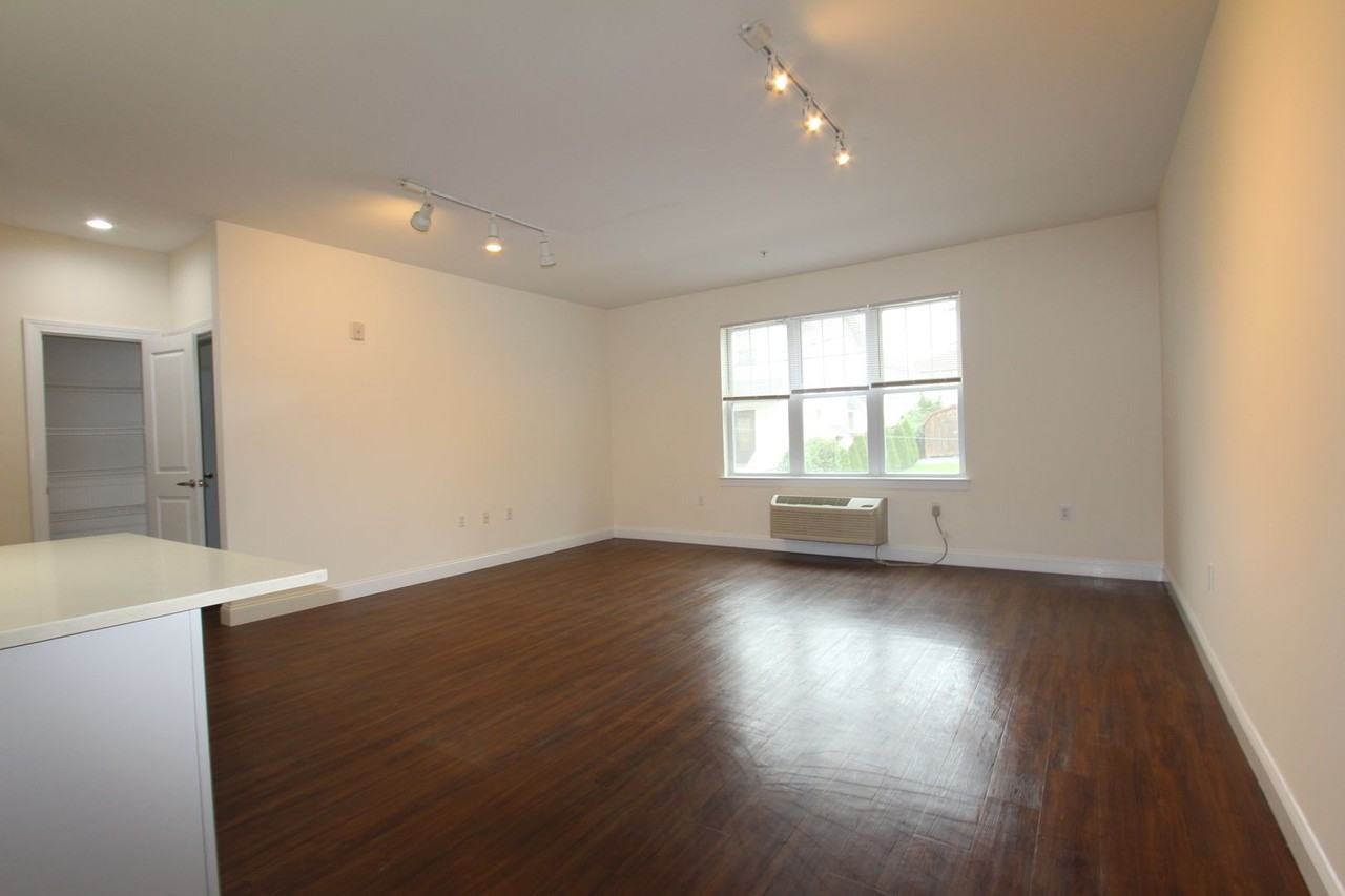 Lexington Dewey - Photo 5 of 13