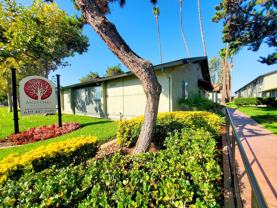 Anza Oaks Apartments - Photo 1 of 1