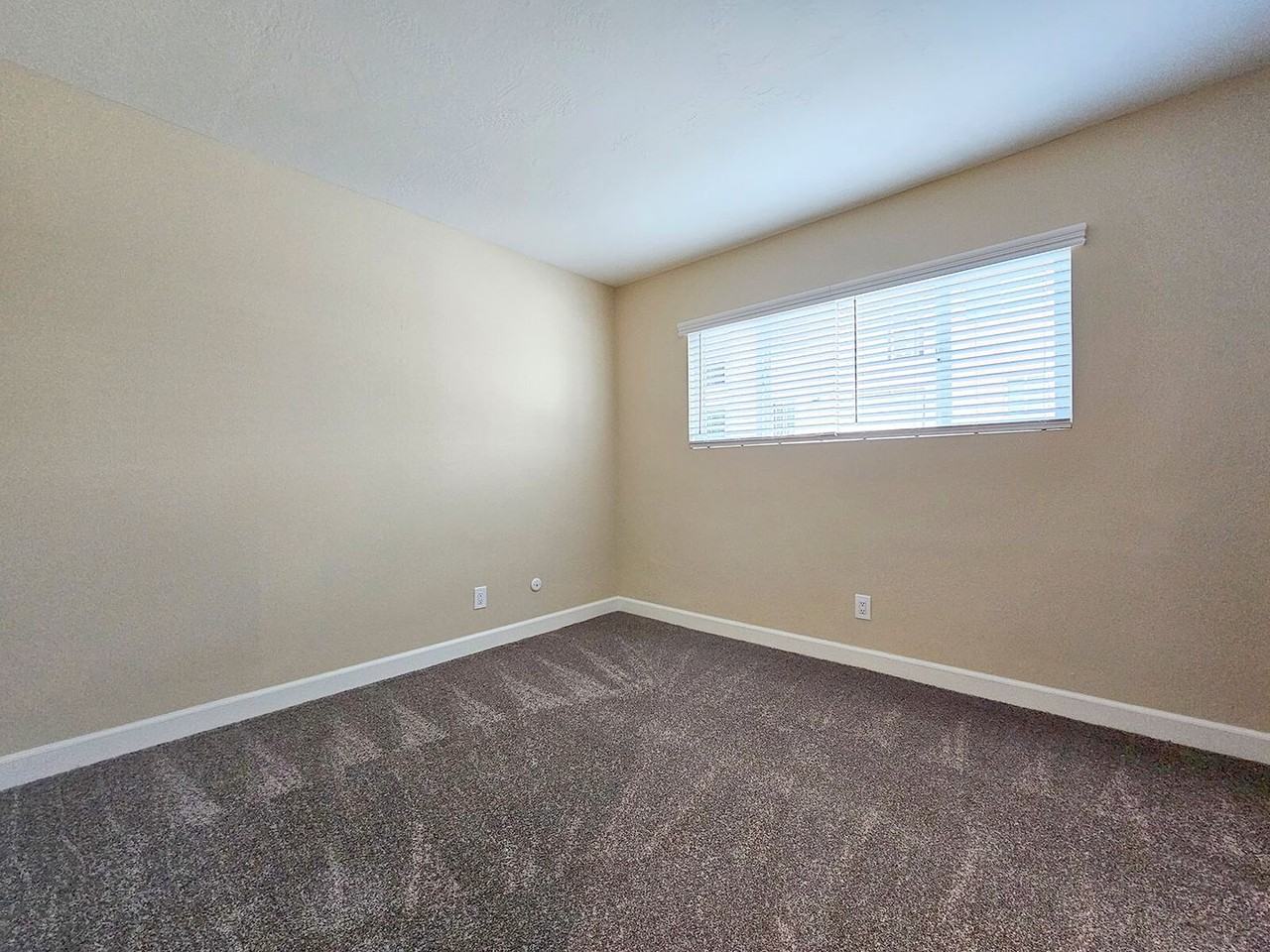 Lauretta 12 - Photo 6 of 28