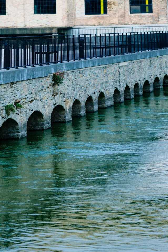 RiverHeath Willow - Photo 4 of 26