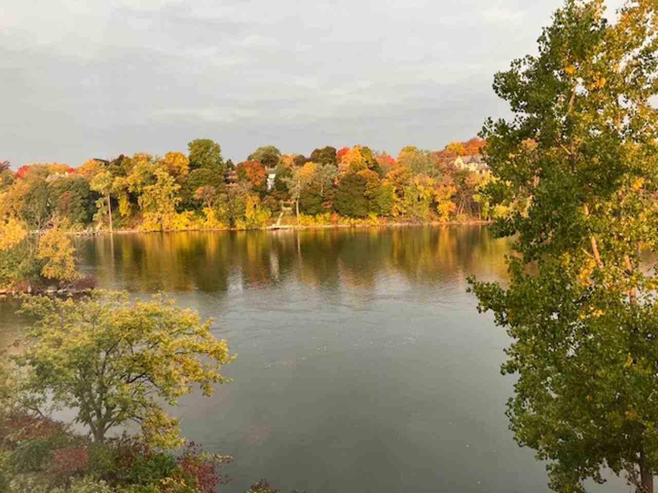 RiverHeath Willow - Photo 6 of 26