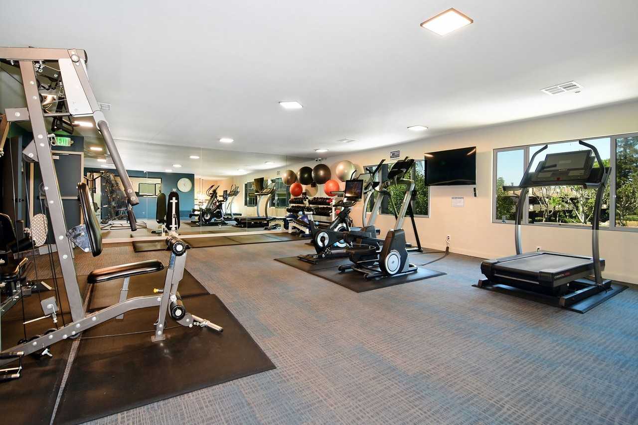 Olive Tree Apartments - Photo 5 of 40