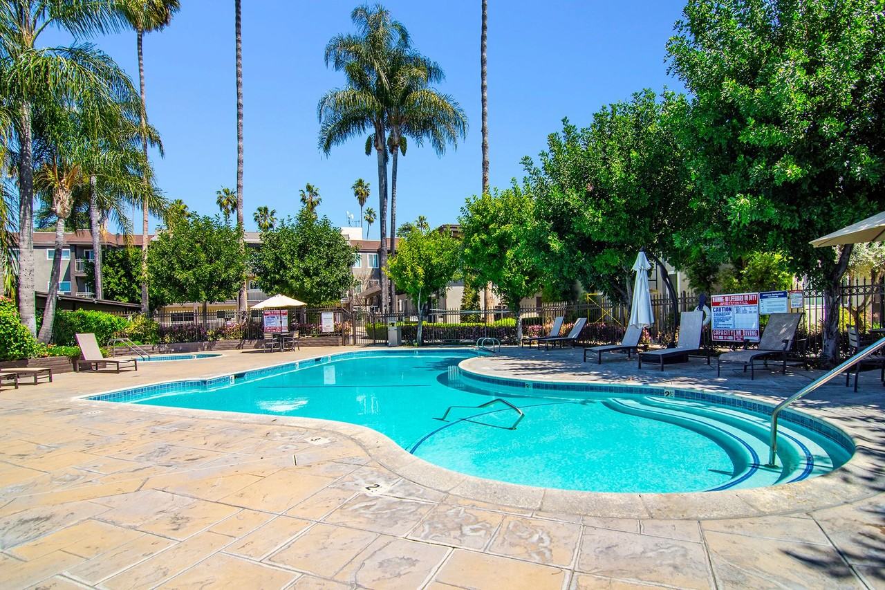 Olive Tree Apartments - Photo 7 of 40