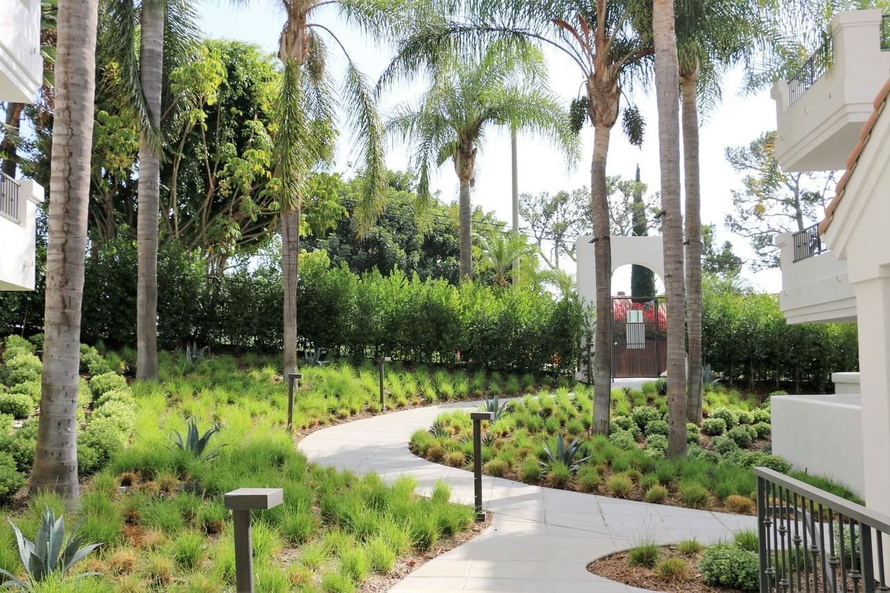 Cavalleri - Photo 2 of 24