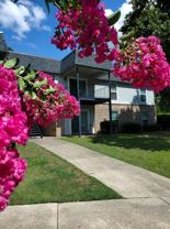 Grove at Westgate Apartments - Photo 1 of 1