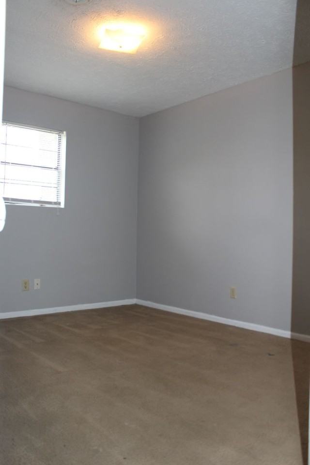 1095 Spruce St. - Photo 5 of 7