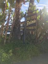 Mar Vista-Palms Apartments - Photo 1 of 1