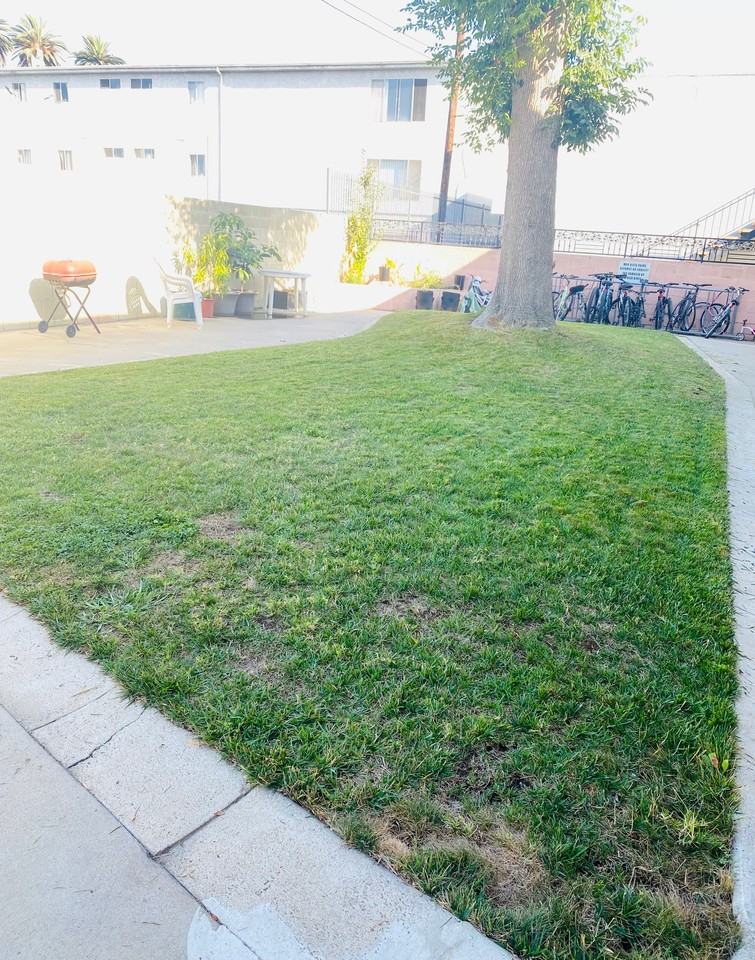 Mar Vista-Palms Apartments - Photo 4 of 13