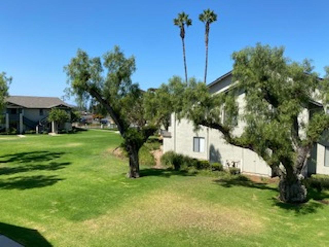 Cinnamon Woods Apartments - Photo 3 of 44