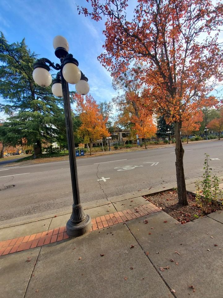 The New Medford - Photo 6 of 50