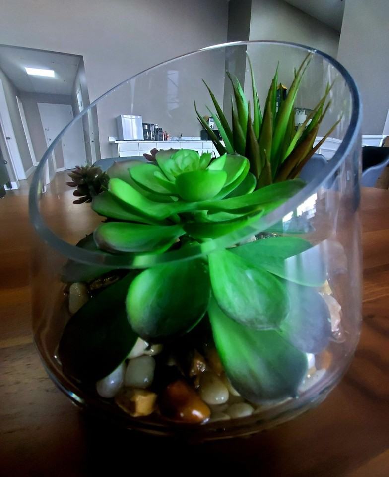 The New Medford - Photo 6 of 50