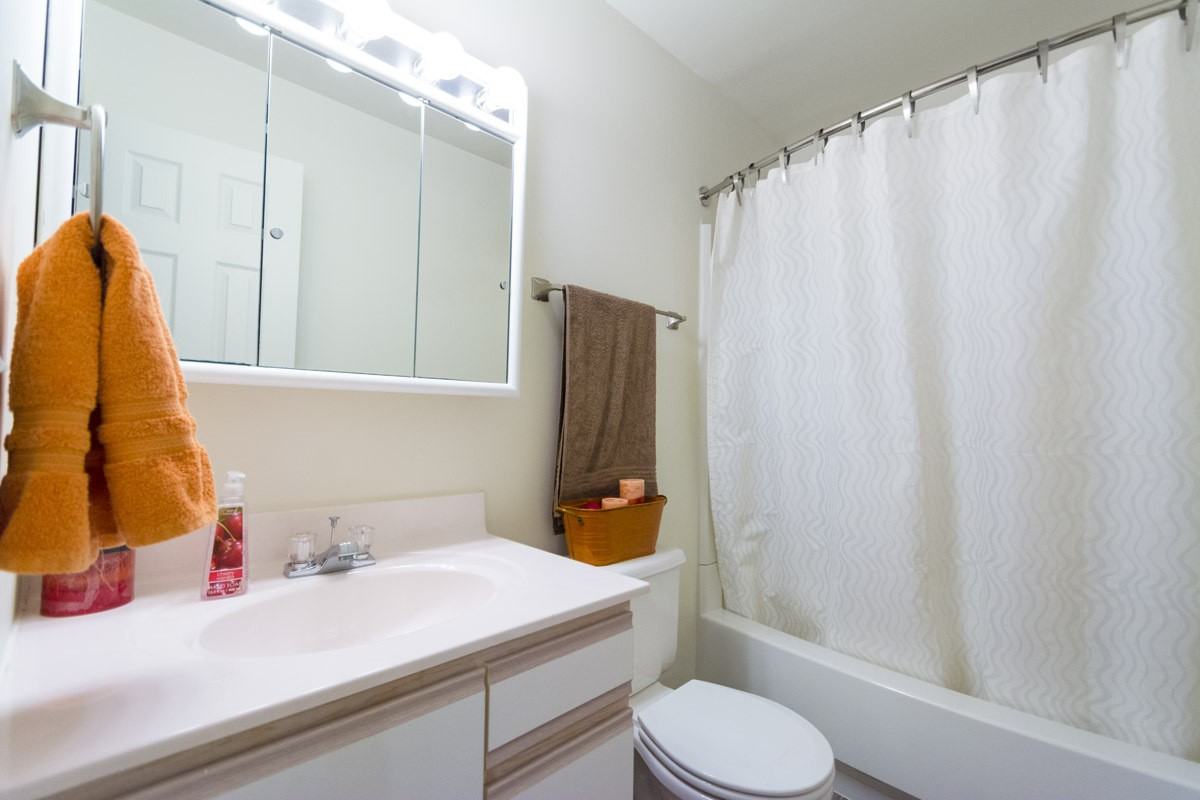 Cedarview [CEDAR509] - Photo 4 of 7