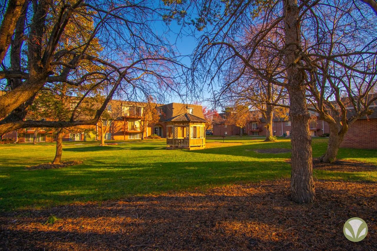 CHLF - Photo 4 of 37