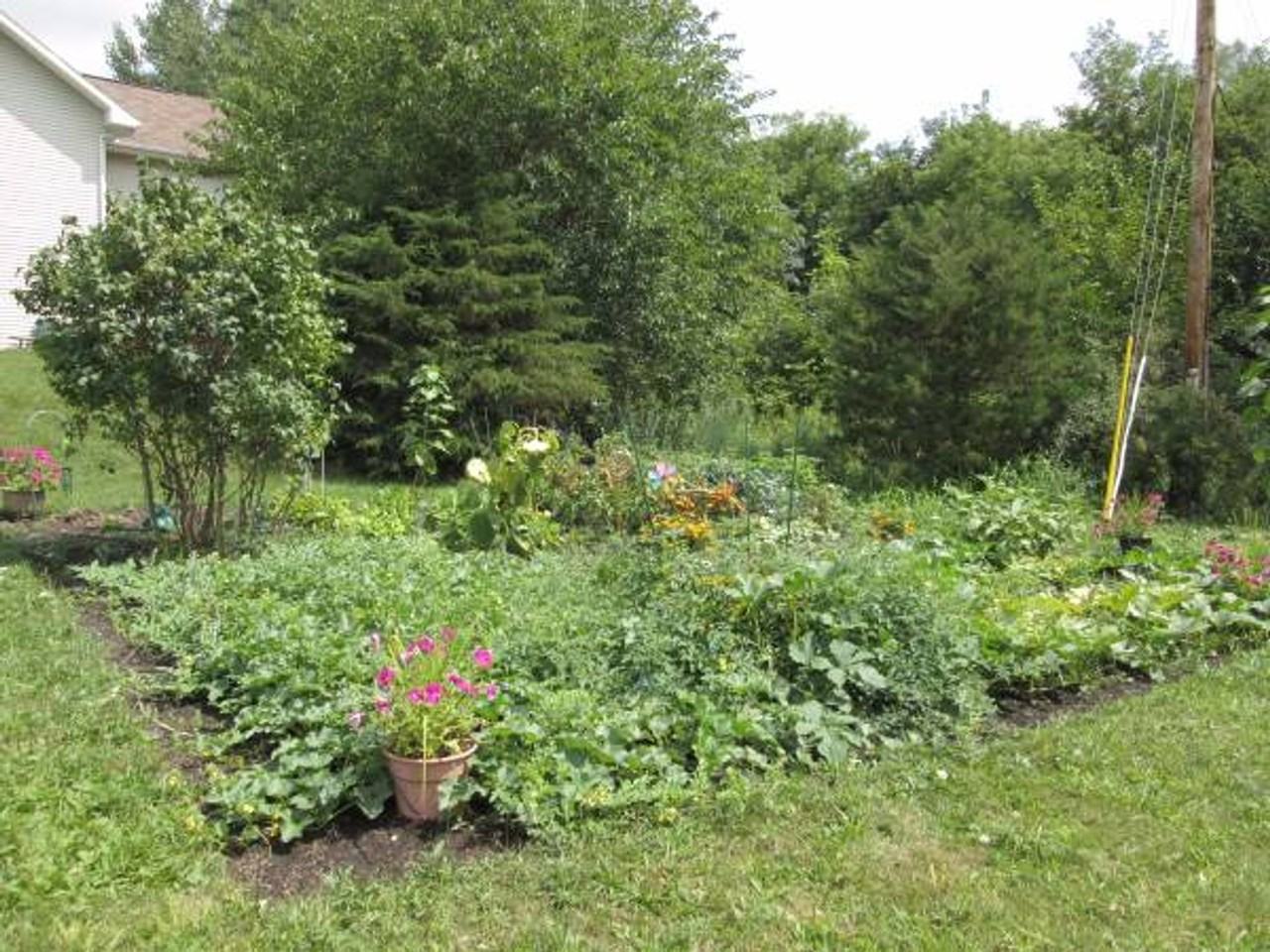 Lincoln Crest Senior Apartment Homes - Photo 7 of 23