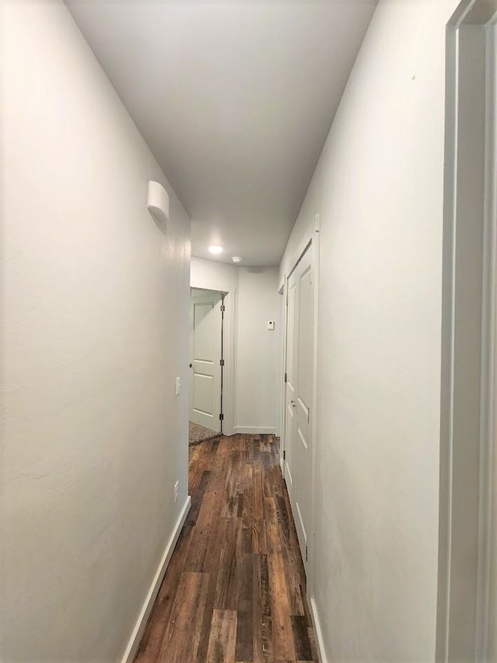 South Shields - Photo 6 of 50