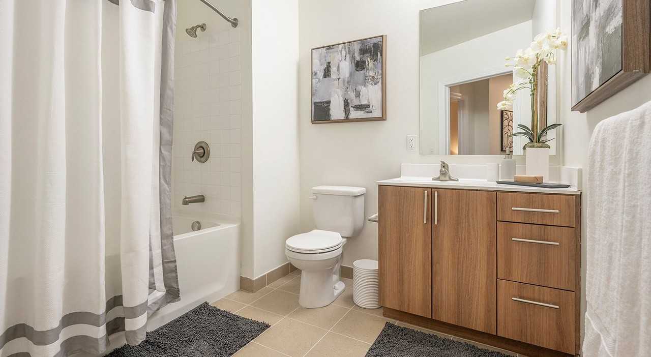 Arlington 360 - Photo 7 of 23