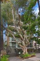 featured image of 1250 Cave Street #2