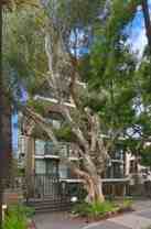 1250 Cave Street #2 - Photo 1 of 1