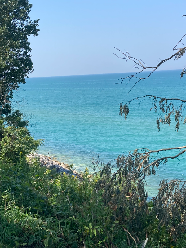 1613 Hickory Trace Dr - Photo 2 of 12