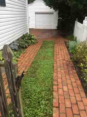 911 Pamlico Dr - Photo 3 of 26