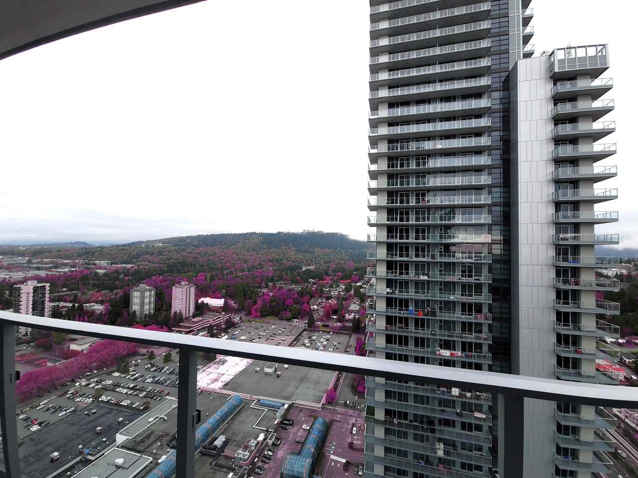 3833 Evergreen Place #3911 - Photo 7 of 19