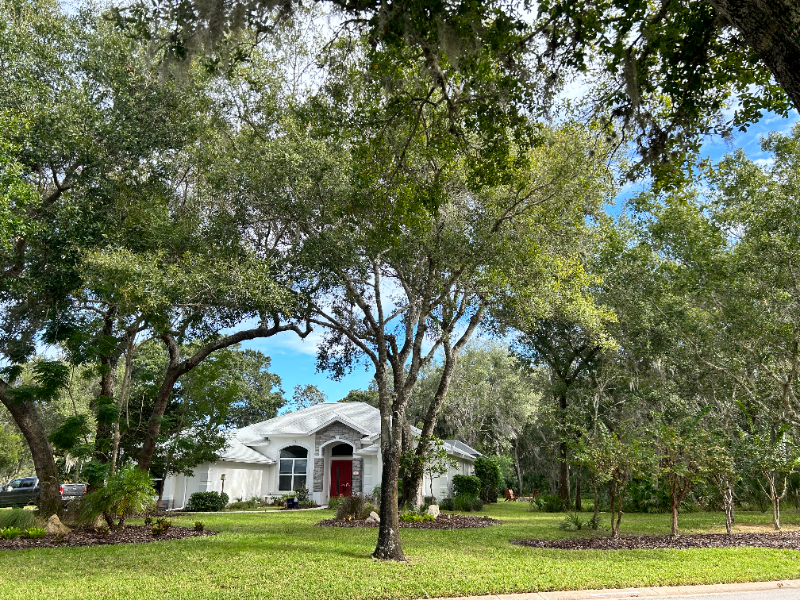 3751 Carrick Dr - Photo 3 of 28